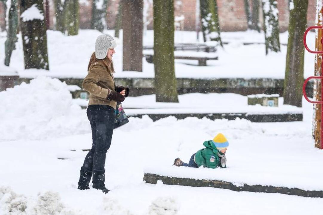 Meteorologė: šio sniego greitai nebeliks