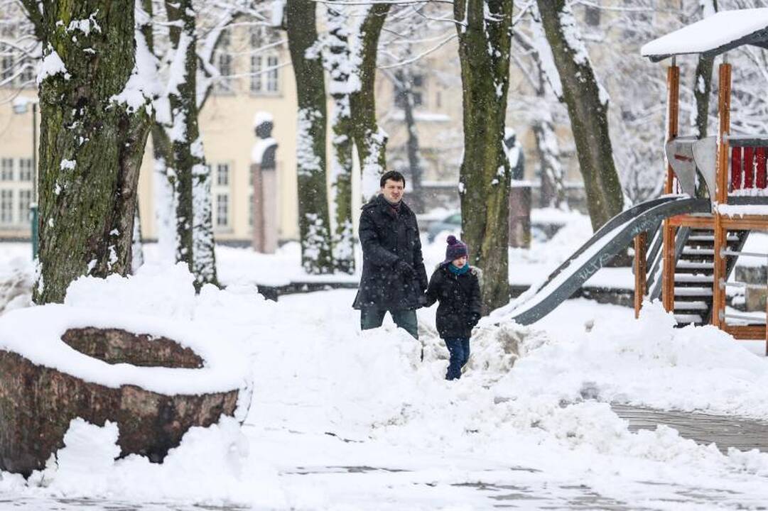 Meteorologė: šio sniego greitai nebeliks