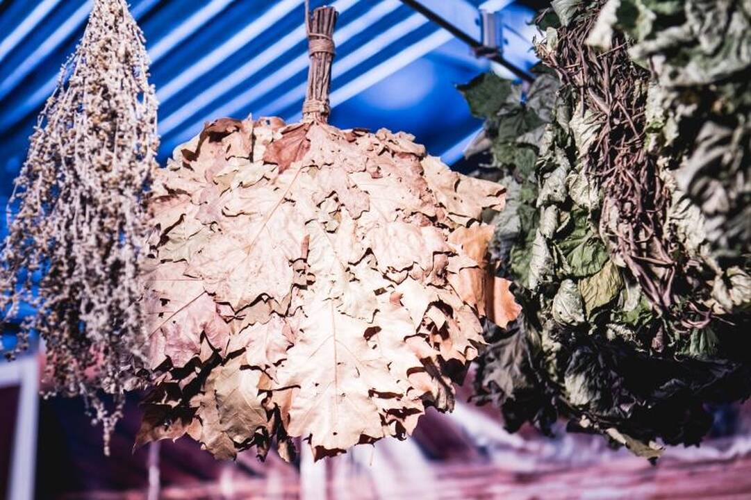 Paroda „Sveikatos dienos“: nuo jogos iki medaus masažų