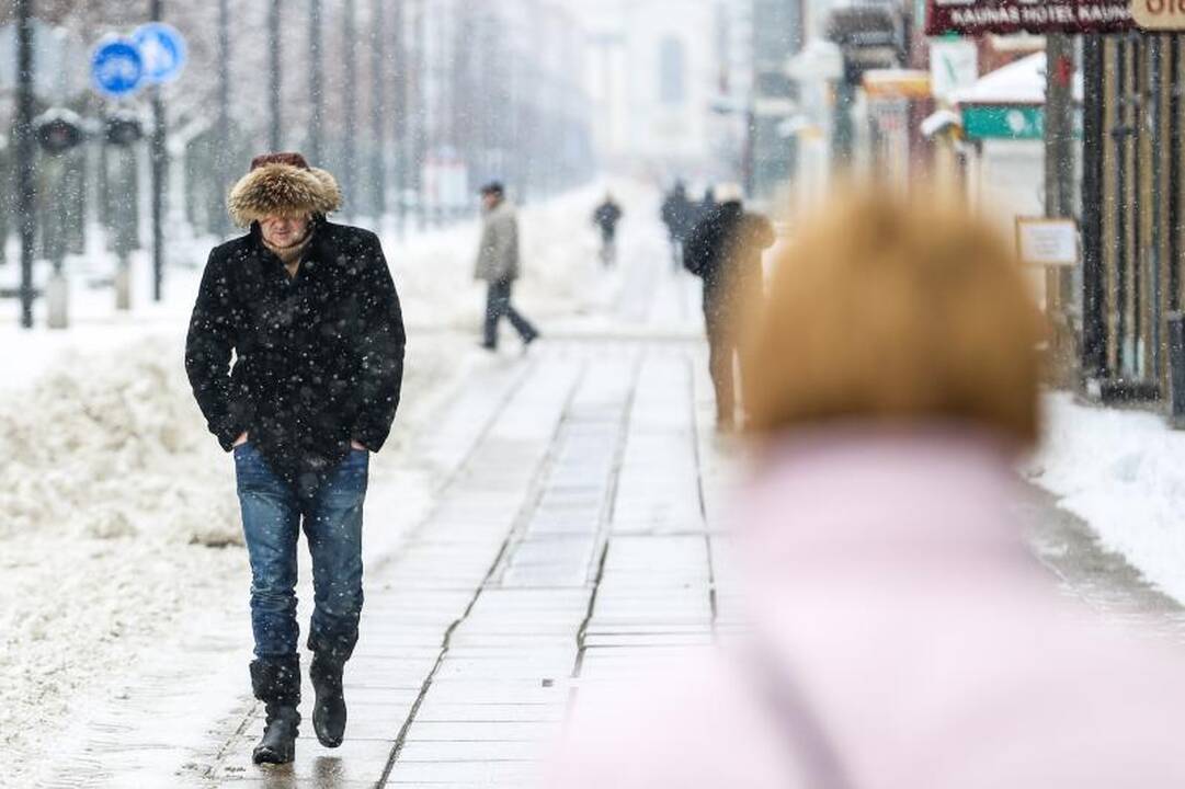 Meteorologė: šio sniego greitai nebeliks