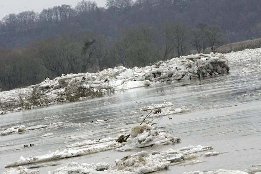 Neris priviliojo gausybę smalsuolių, Nevėžis išsiliejo į pievas (dar papildyta)