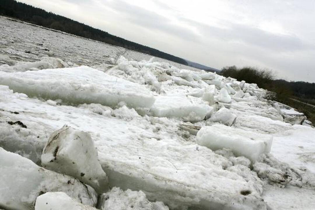 Neris priviliojo gausybę smalsuolių, Nevėžis išsiliejo į pievas (dar papildyta)