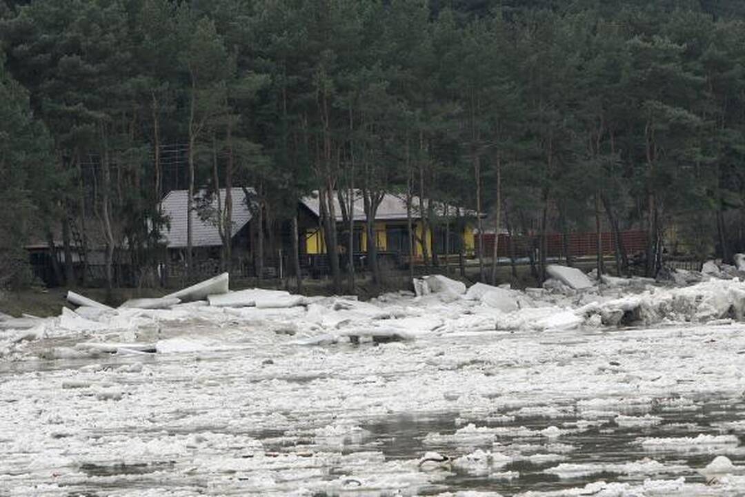 Neris priviliojo gausybę smalsuolių, Nevėžis išsiliejo į pievas (dar papildyta)