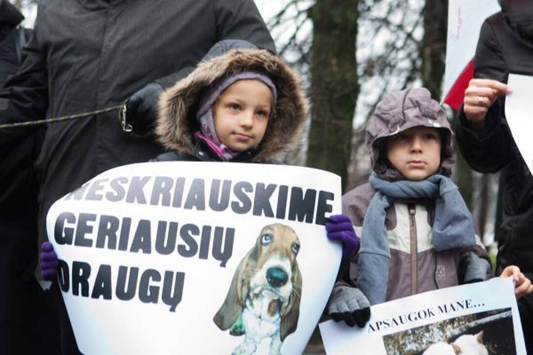 Gyvūnų mylėtojai reikalauja griežtesnių bausmių gyvūnų skriaudikams 
