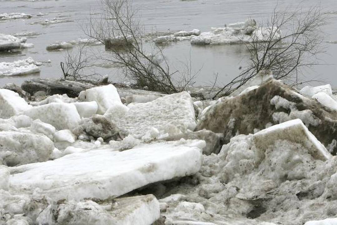 Neris priviliojo gausybę smalsuolių, Nevėžis išsiliejo į pievas (dar papildyta)
