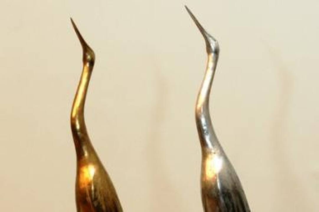 Paskelbti apdovanojimų „Sidabrinė gervė 2009" nominantai