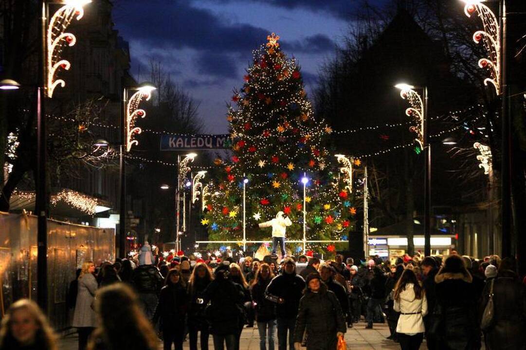 Laisvės alėjoje ir Vienybės aikštėje sužibo studentų eglės