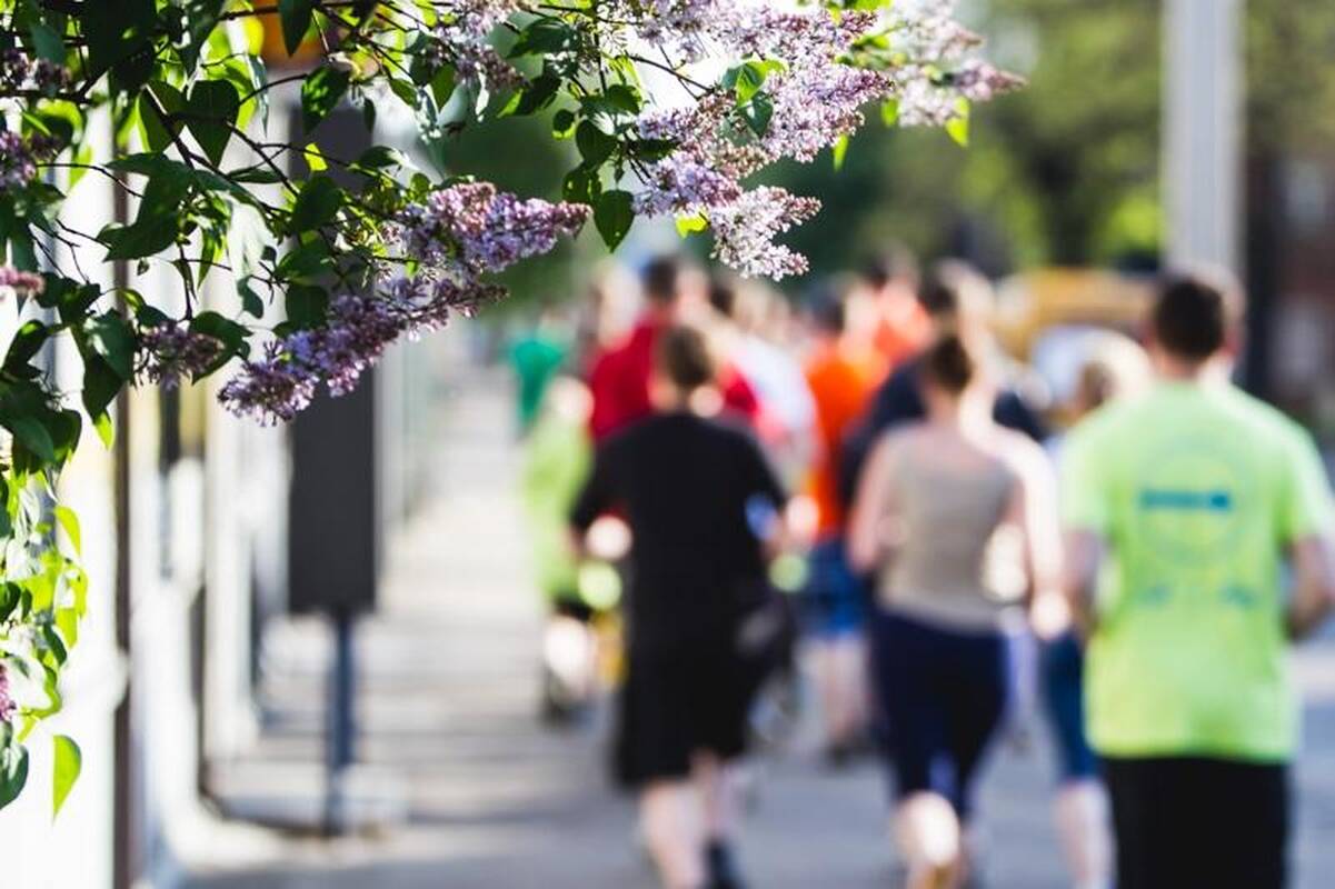 Kaip atrodys Kauno maratono medaliai? (foto)
