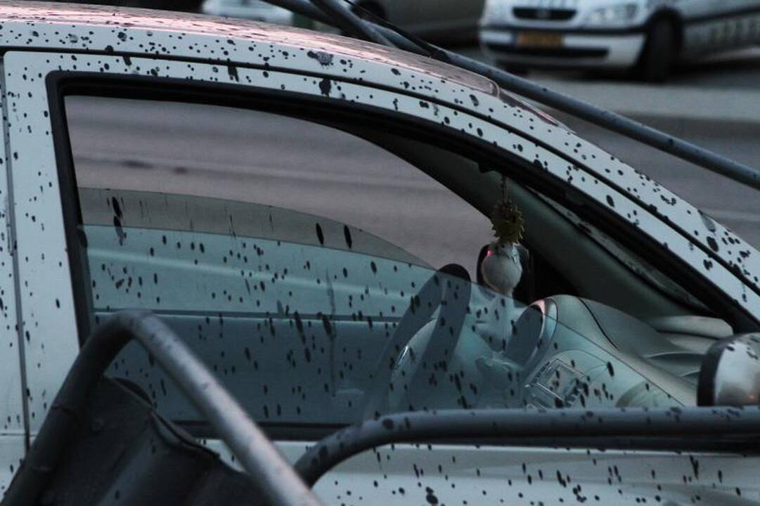  Automobilio gaudynės Klaipėdoje baigėsi avarija