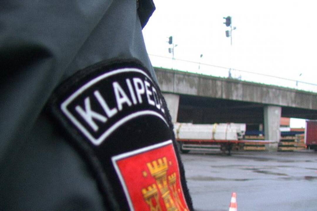 Tarptautinėje perkėloje – policijos reidas  