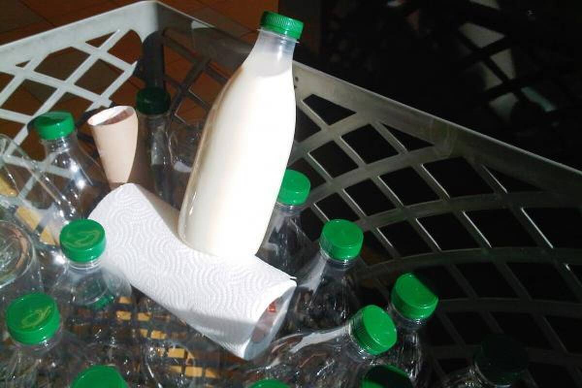 Ar                             pienas kenkia?