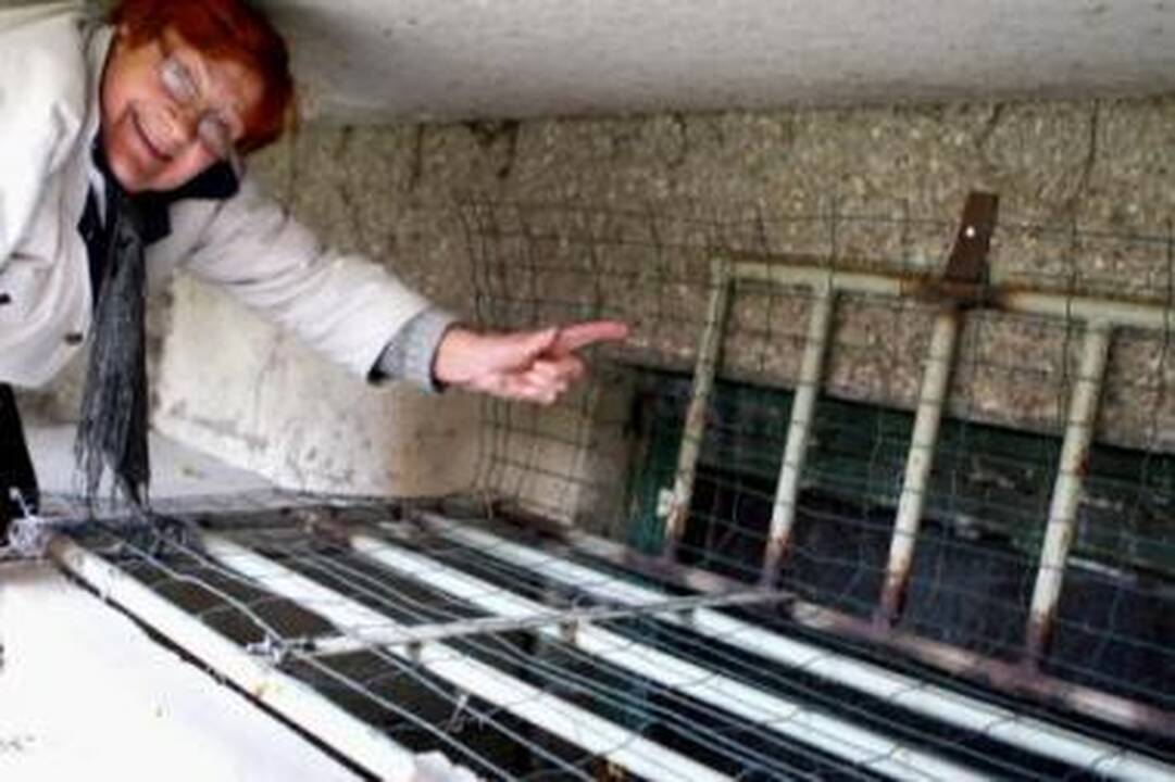Išmintis: L.Ševčenko stebėjosi, kodėl taupant šilumą name rūsių langai liko užkalti lentomis, o ne įstiklinti.