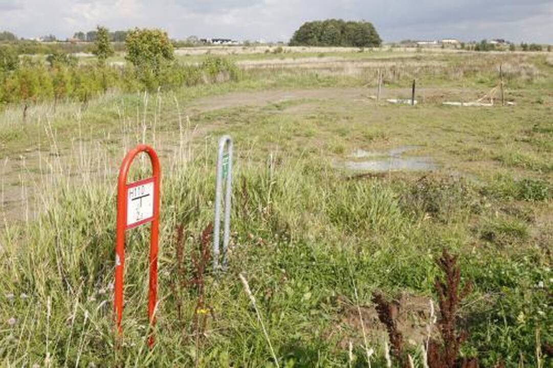 Aukcionas pirkėjų nedomino