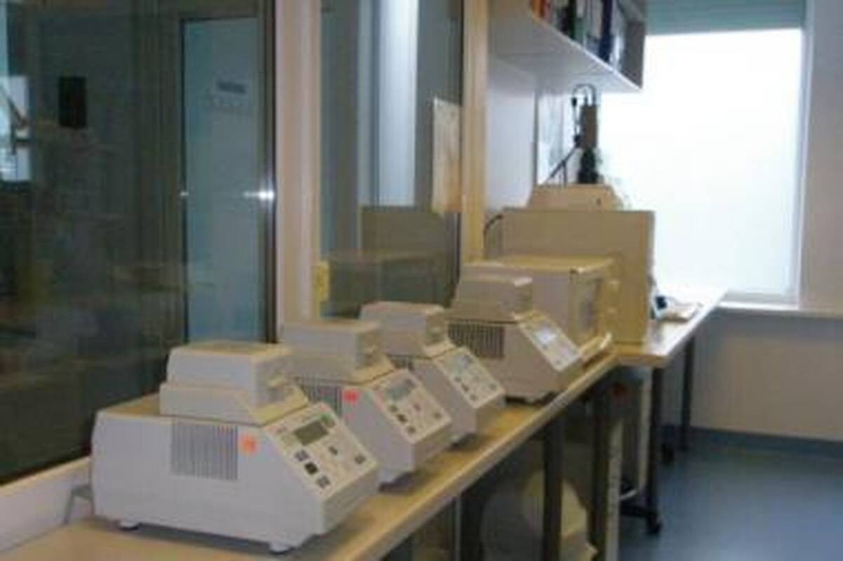 Tyrimai: atsakymai pateikiami po 2–4 savaičių konfidencialiai tik užsakovui.
