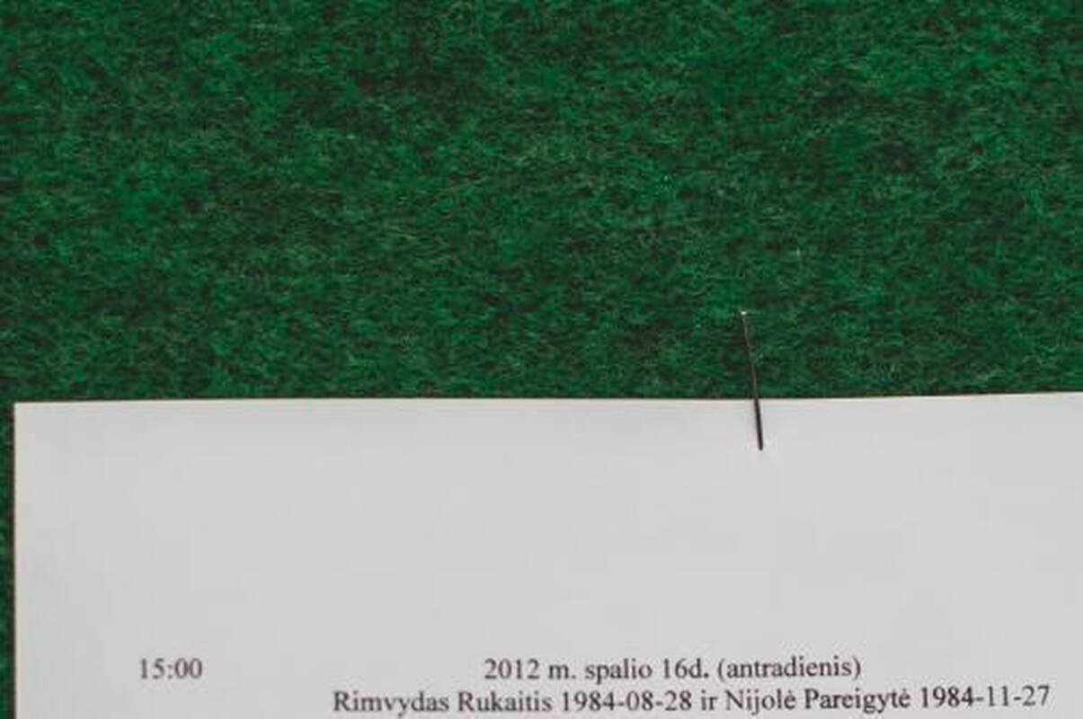 N.Pareigytė ištarė "taip"