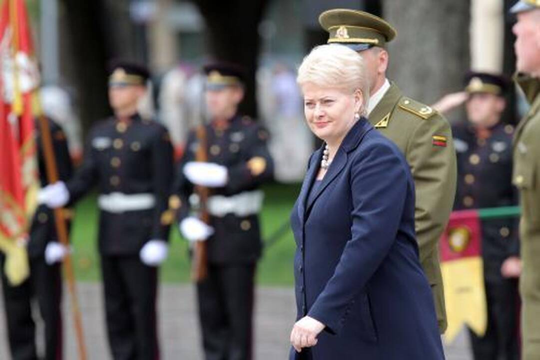 Išimčių partijoms nebus