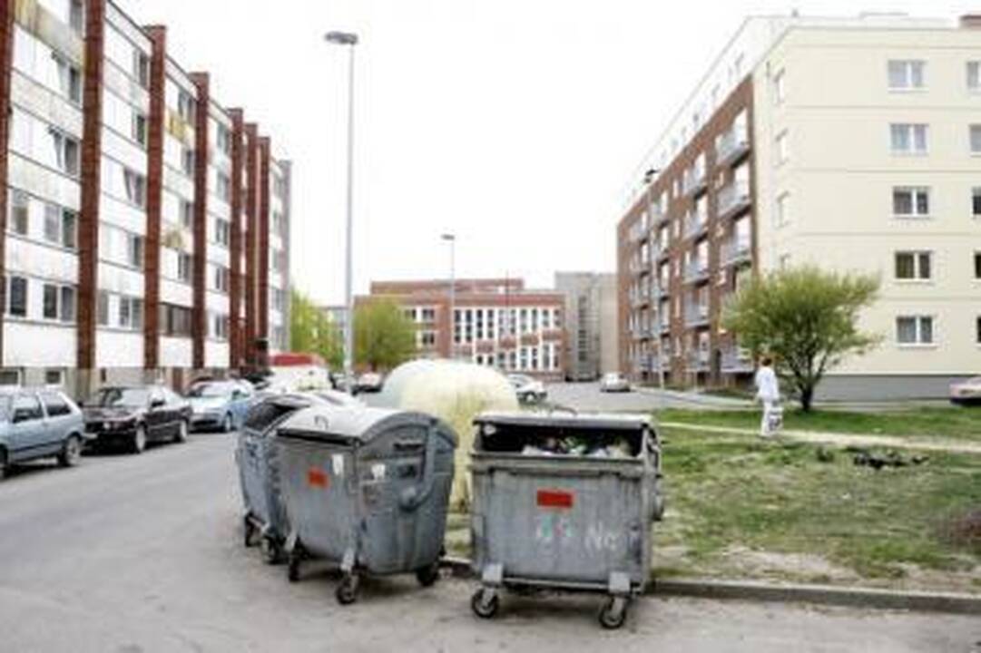 Įkaltis: šiukšlių konteineris turėjo tapti naujagimių kapu.