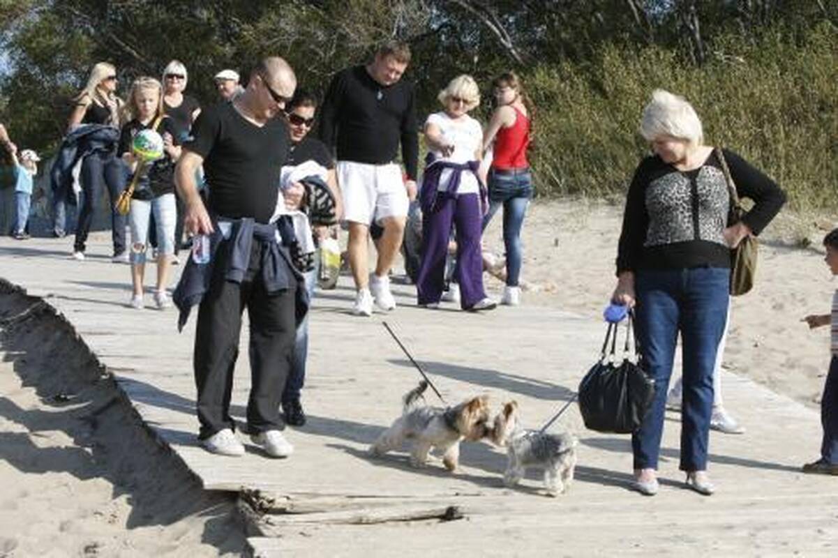 Pliaže prasidėjo dramos