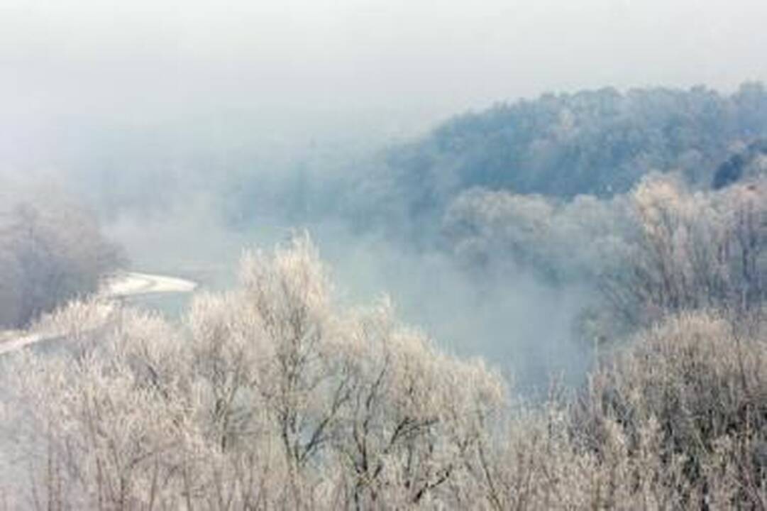Situacija: dabar 6 tūkst. ha Vilniaus miškų prižiūri du girininkai.