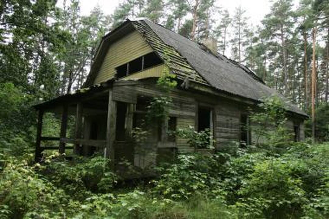 Netikėtas priedas pirkėjui