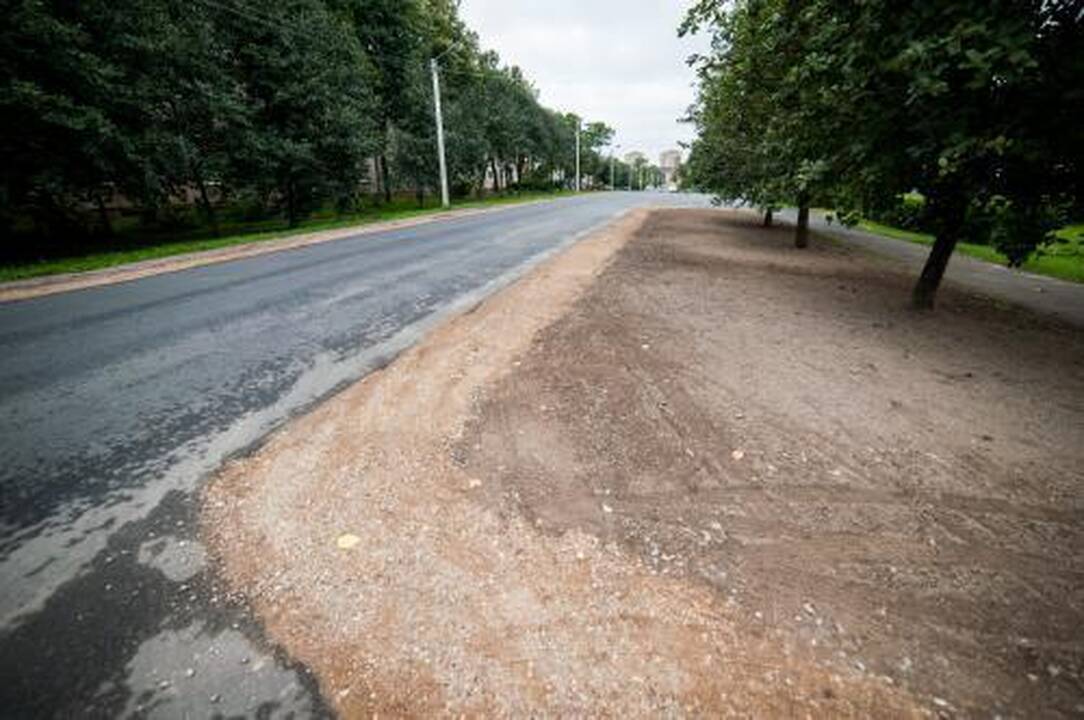 Radvilėnų plente akis bado neūkiškumas
