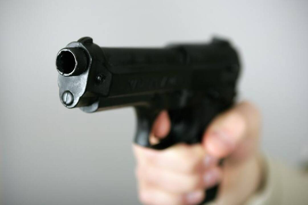 Skolos iš Lapiuose gyvenančios šeimos reikalavo ginklu