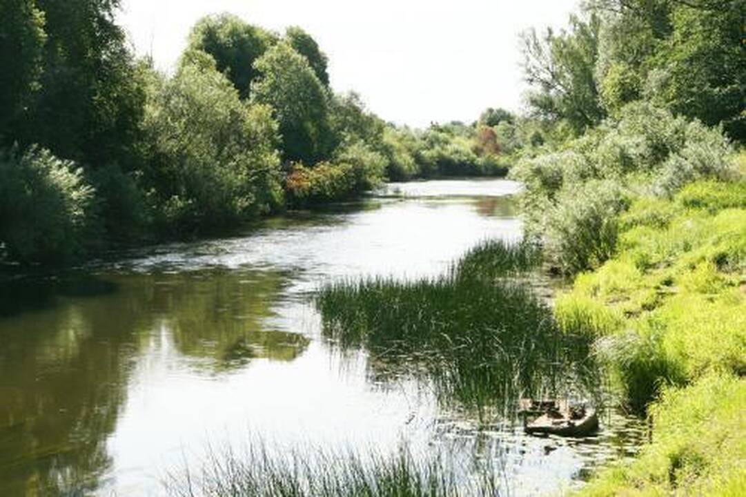 Minijoje – pusbrolių žūtis