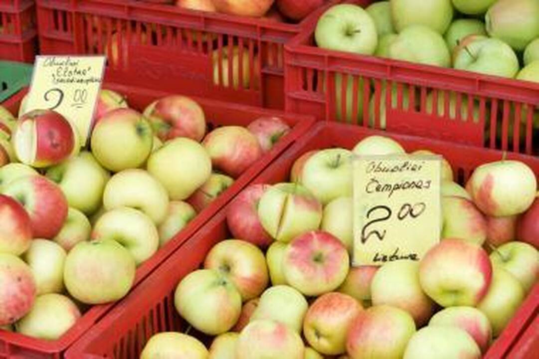 Lietuviškas produktas geriausias?