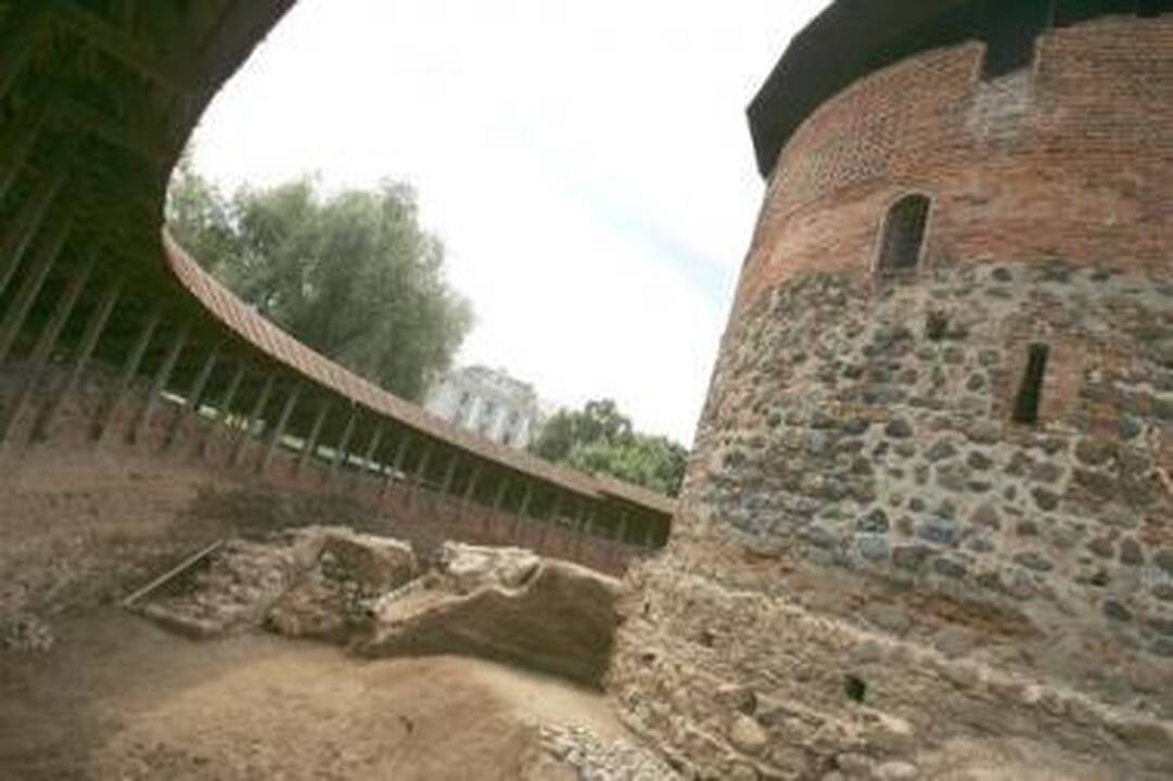 Pagalba: į diskusiją dėl pilies atstatymo projekto atvykusi D.Varnaitė ragino taikytis.