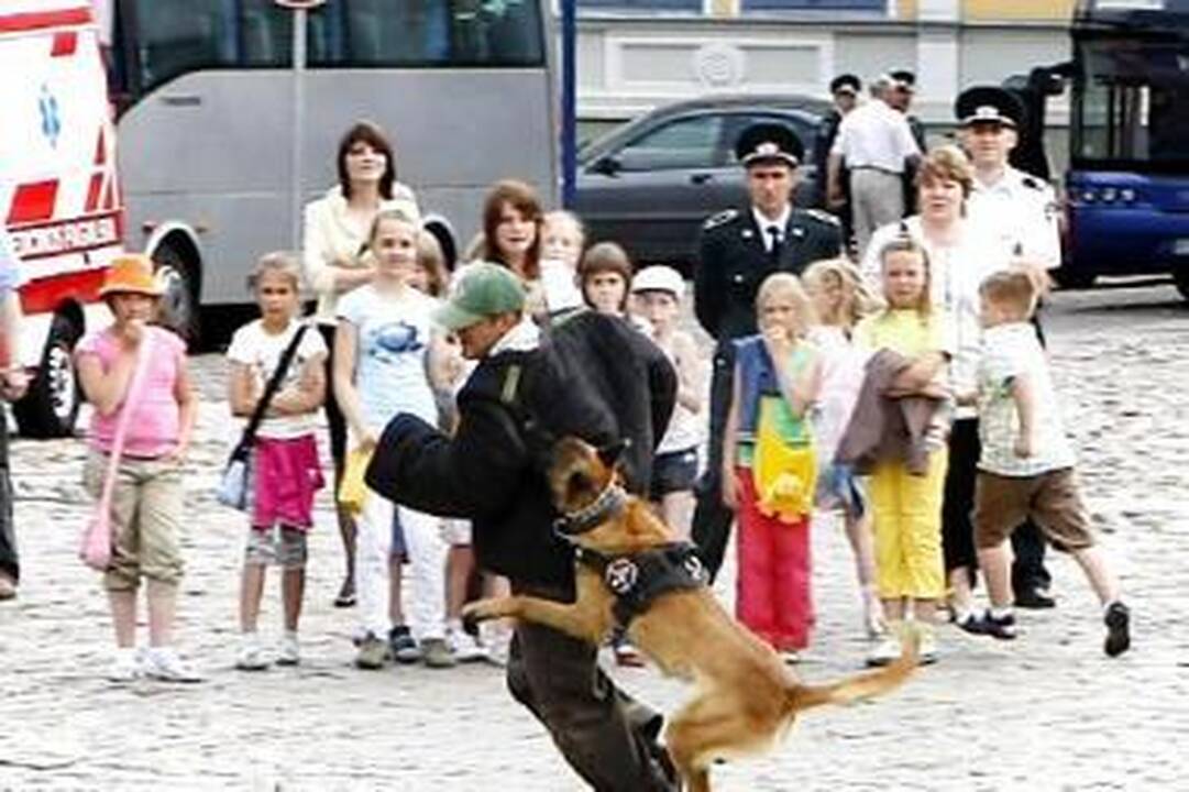 Profesionaliai: apmokyti keturkojai padėjo sulaikyti tariamus pažeidėjus.