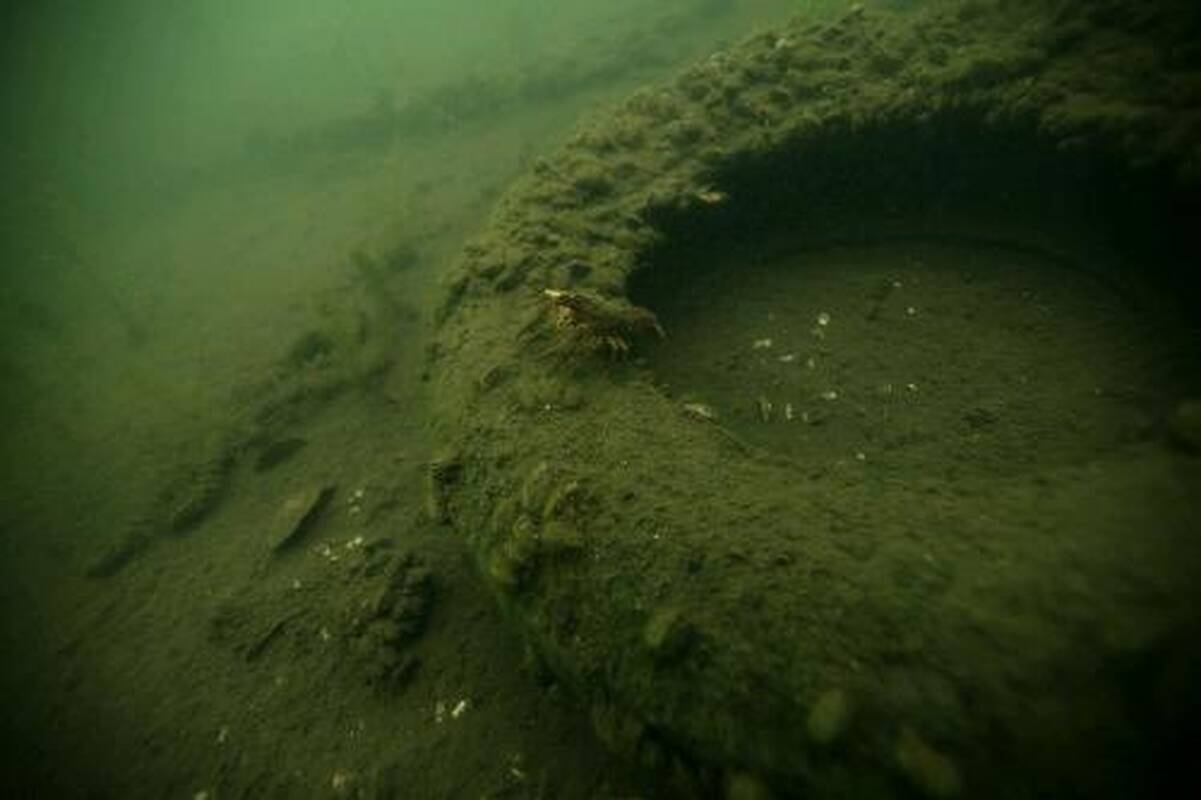 Nuotraukose – žuvys ir šiukšlės