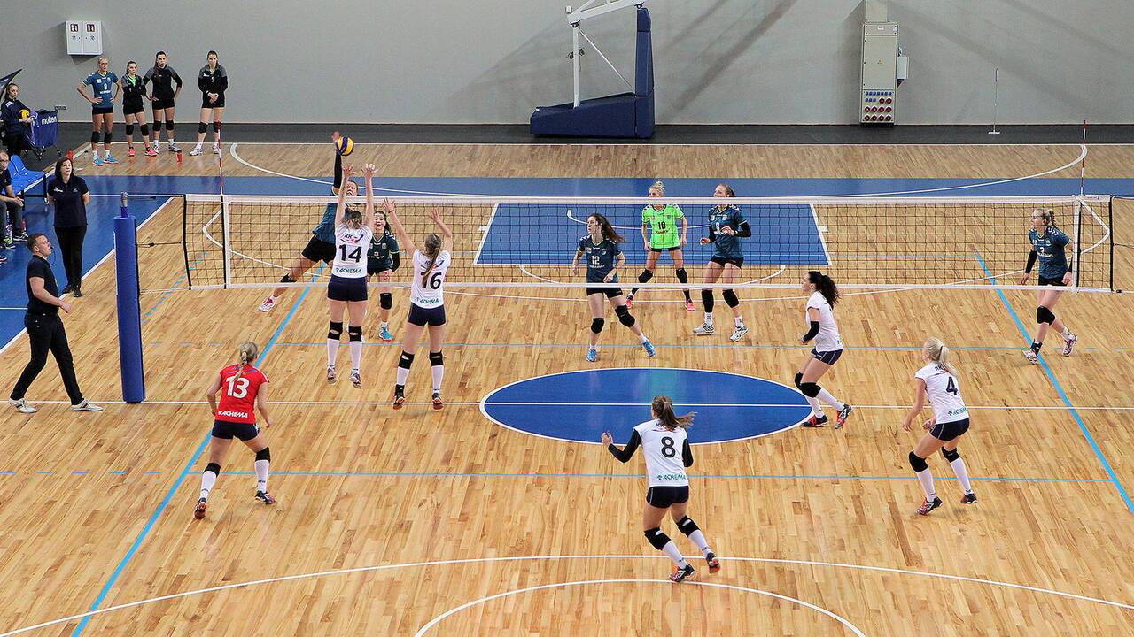 Tinklinis: TK „Kaunas“ – „Achema“ 3:0