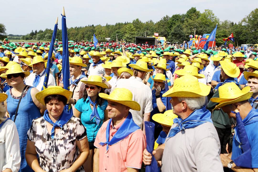 Tvarka ir Teisingumas sąskrydis