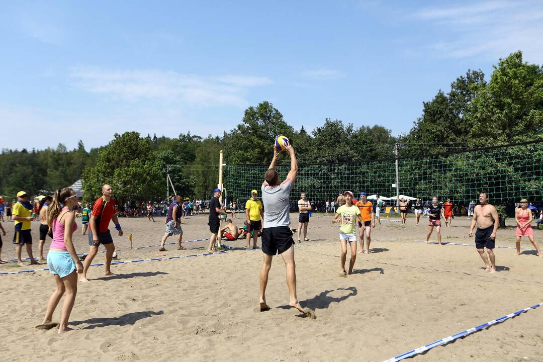 Tvarka ir Teisingumas sąskrydis