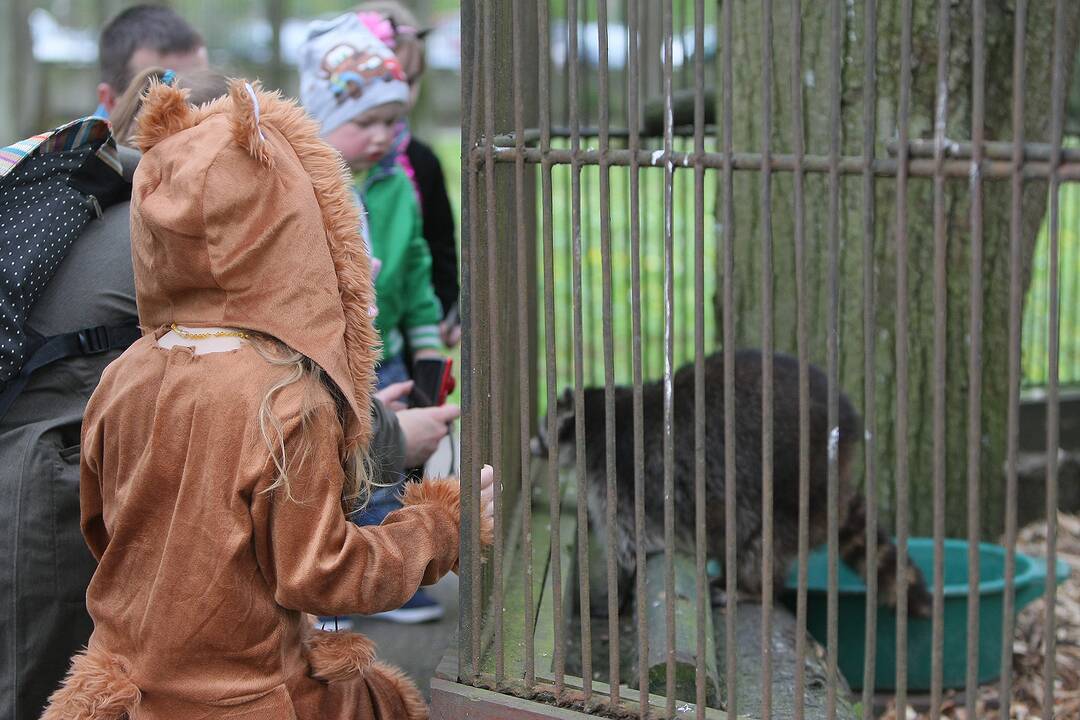 Zoologijos sodo sezono atidarymas