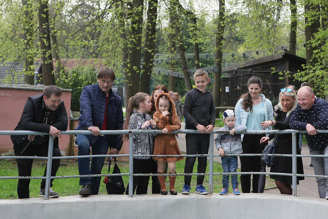 Zoologijos sodo sezono atidarymas