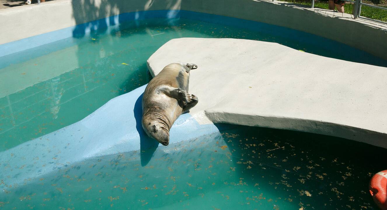 Zoologijos sodas 