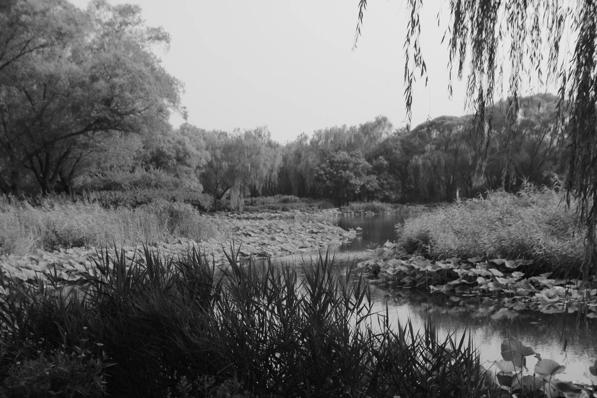 
<span>Tvenkinyje rastas vyro kūnas</span>
