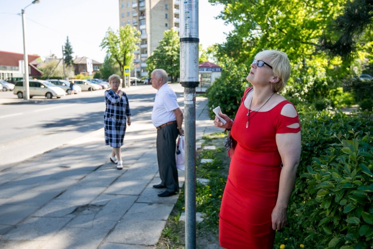 Dingo Taikos stotelės stoginė?