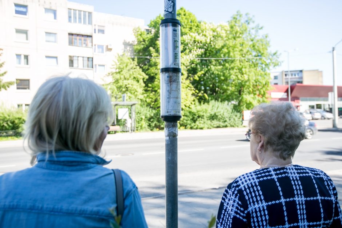 Dingo Taikos stotelės stoginė?