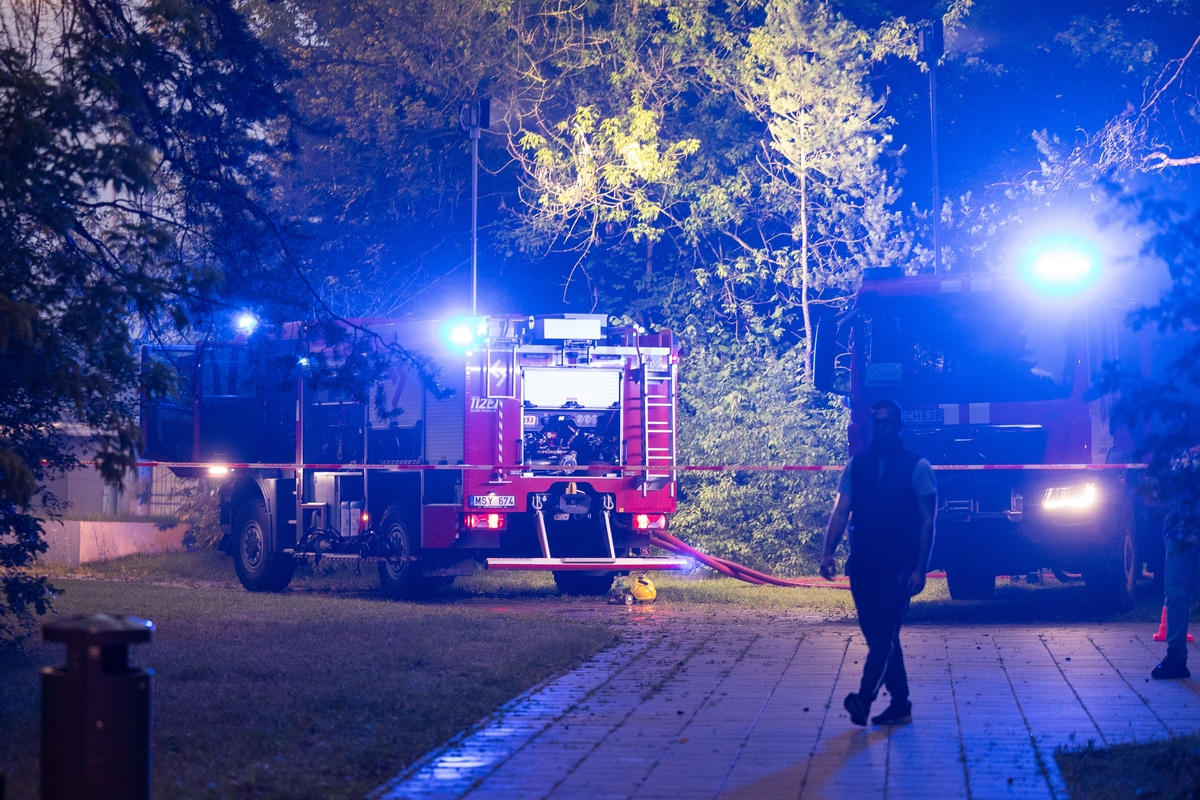 Gaisras Lazdynų pilyje