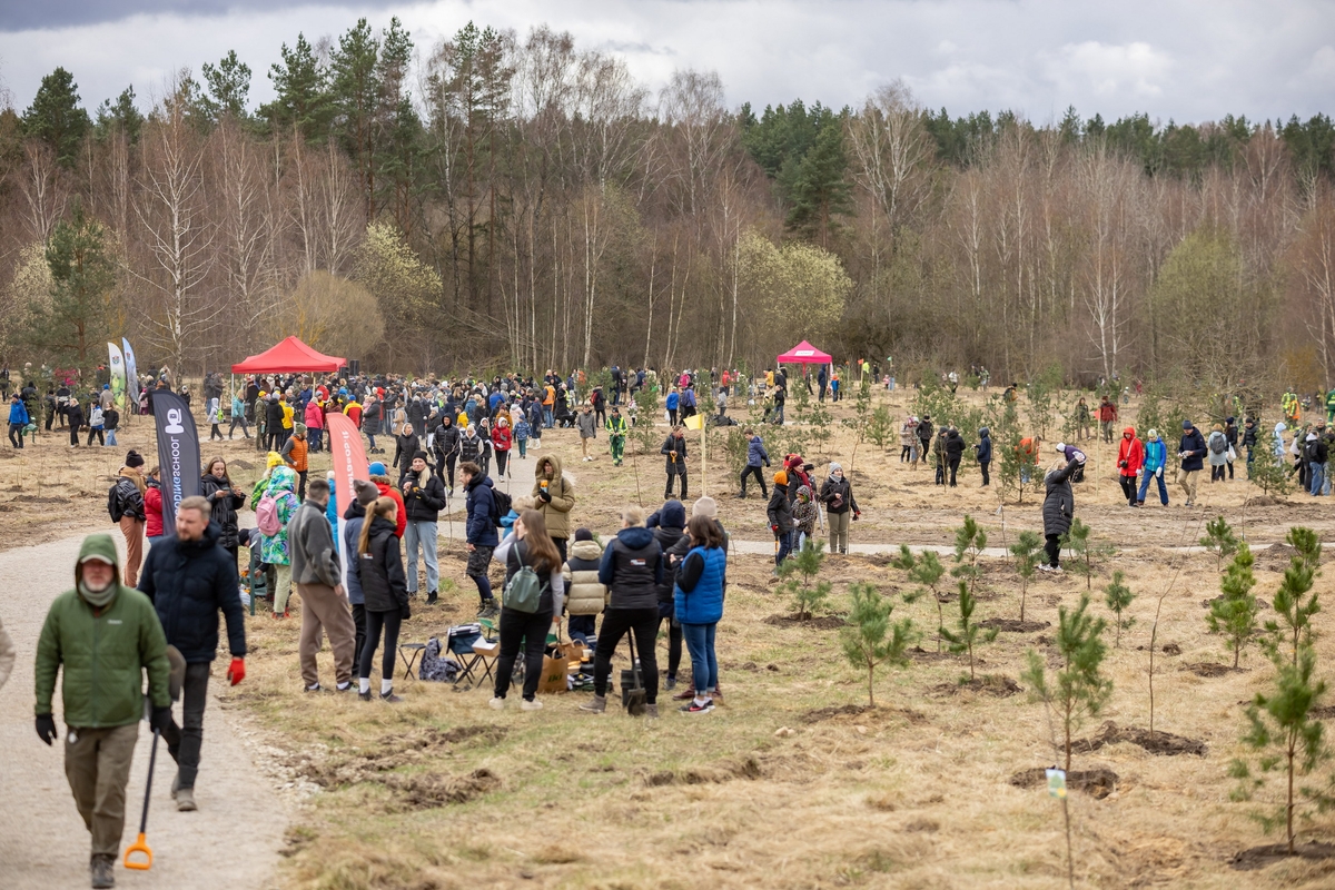 Padovanokite miestui mišką: įmonės kviečiamos prisidėti prie miško sodinimo Vilniuje