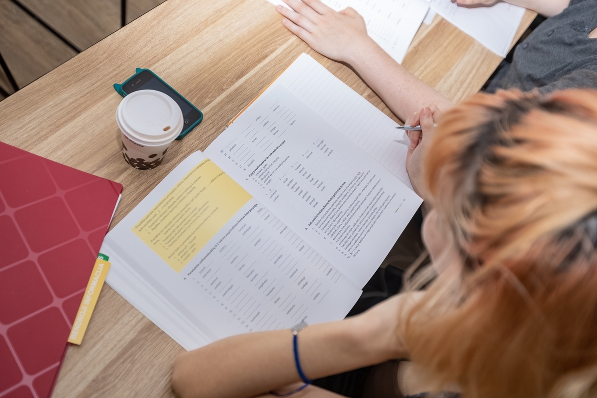 Parlamentarai svarsto griežtinti kalbos reikalavimus užsieniečiams, apriboti studentų darbo laiką