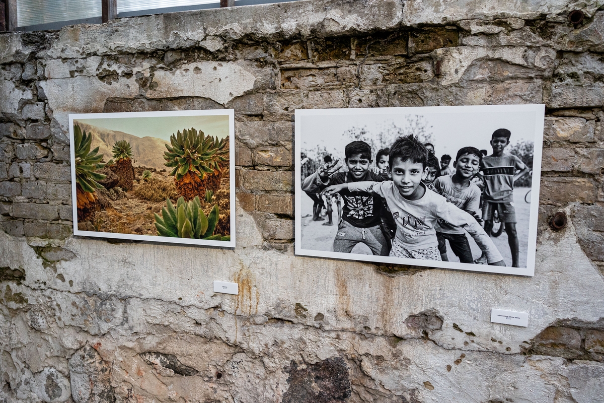 Gusto Siko fotografijų parodos „Ieškok ieškok ieškok ieškok“ atidarymas