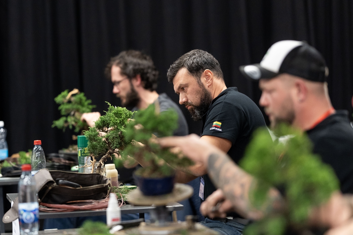 Japonijos menų ir kultūros festivalis