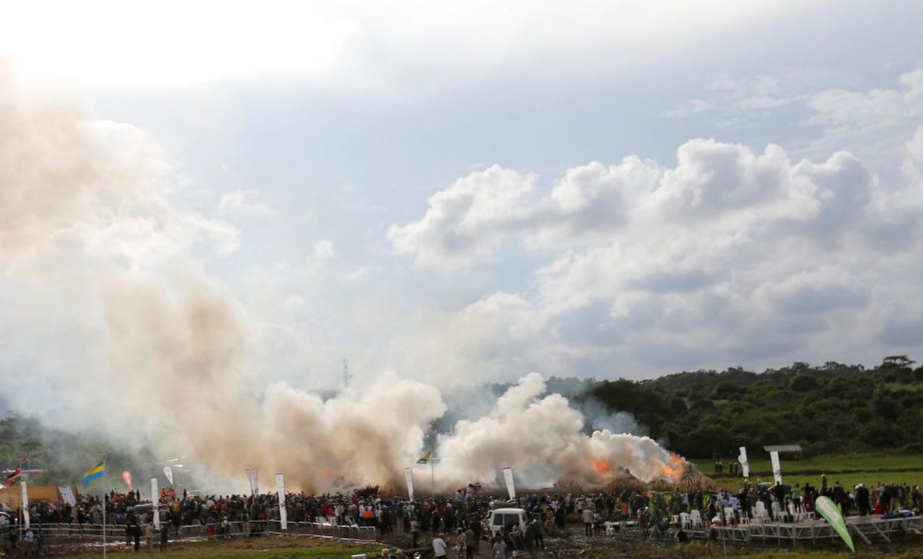 Didžiausias pasaulyje dramblio kaulo laužas