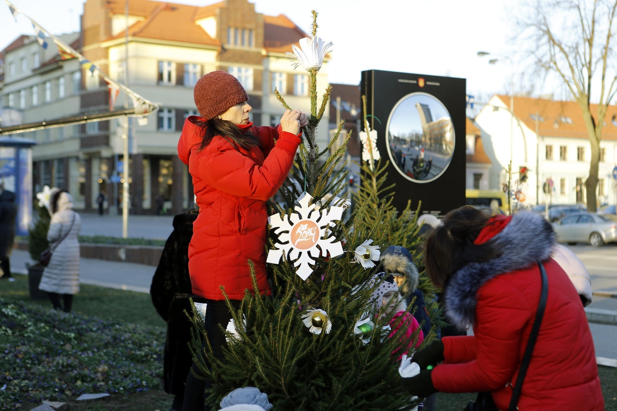 100 eglučių Atgimimo aikštėje puošimas