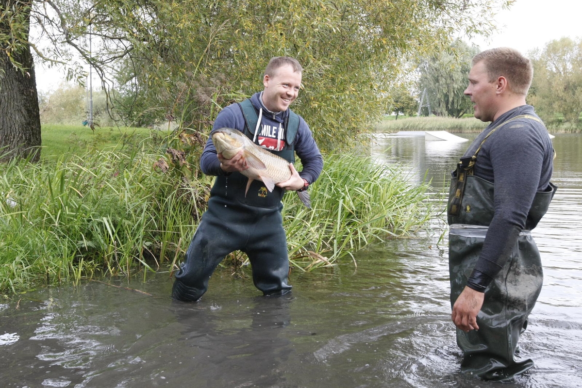 Trinyčiuose apgyvendintas žmogaus dydžio šamas