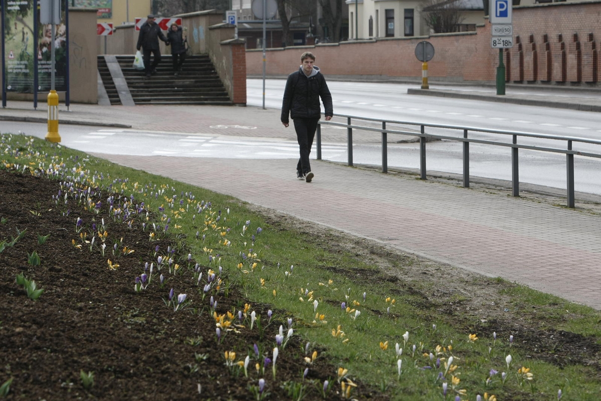 Uostamiesčiui – gėlių žiedai