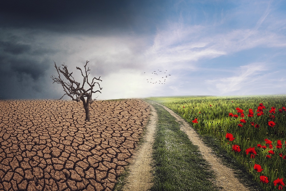 ES siekia suderinti verslo poreikius ir klimato tikslus